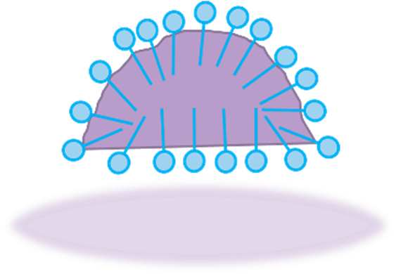 Tensidimolekyylit 2