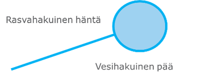 Tensidimolekyyli